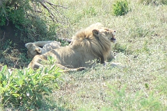 0237-Reis Zuid-Afrika2007